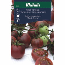 Cherrytomat 'Black cherry'